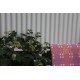 Sugar Pink Elfed woollen Mill Welsh Tapestry TBV464